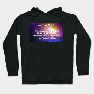 Insane Fact The Universe Is Larger Than Two Football Fields Sarcastic Dank Meme Quote Funny Meme T-Shirt Hoodie